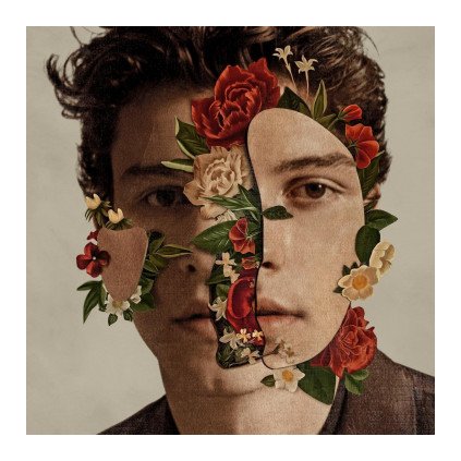 VINYLO.SK | MENDES SHAWN ♫ SHAWN MENDES [LP] 0602567569497