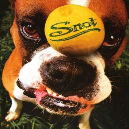 VINYLO.SK | Snot ♫ Get Some / 20th Anniversary Edition / HQ [LP] 0600753795965