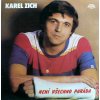 VINYLO.SK | Karel Zich ♫ Není Všechno Paráda (stav: VG+/VG+) [LP] B0003151 =Vinylo bazár=