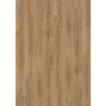 OFR 030 022N Frontal Dione