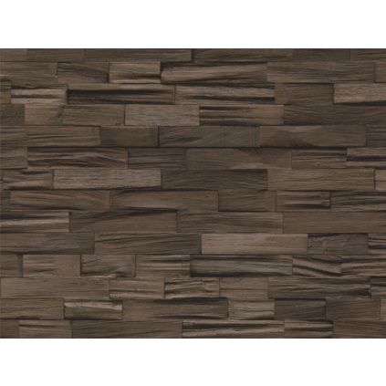 vyr 497 SHOREA WOOD CARBONIZE SHOREA upraveny