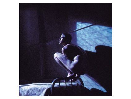 PETER GABRIEL Birdy