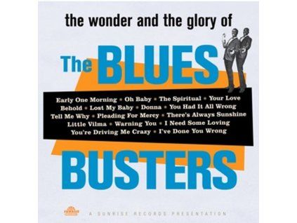 BLUES BUSTERS Wonder and Glory (LP)