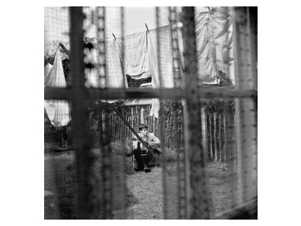 PAUL McCARTNEY Chaos and Creation In the Backyard(LP)