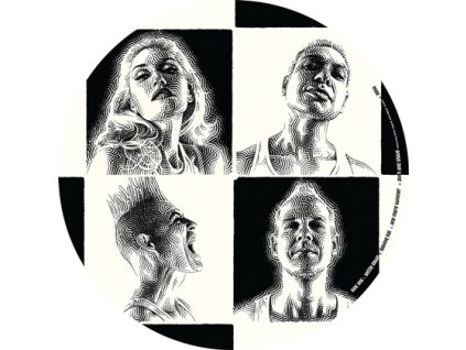 NO DOUBT Push and Shove(LP)