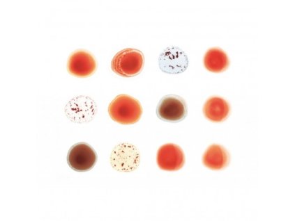 vinyl 2LP PETER GABRIEL Scratch My Back And I'll Scratch Yours