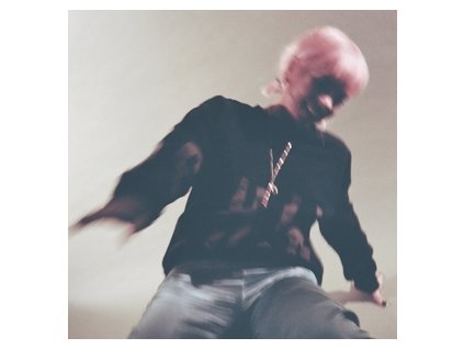 LILY ALLEN No Shame(LP)