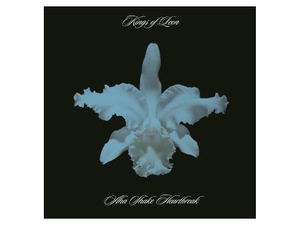 KINGS OF LEON Aha Shake Heartbreak