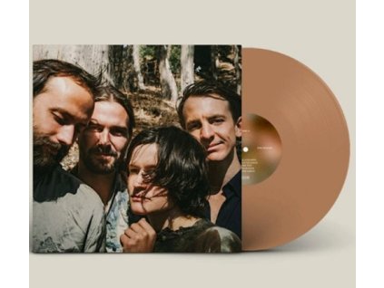 BIG THIEF Two Hands(LP)