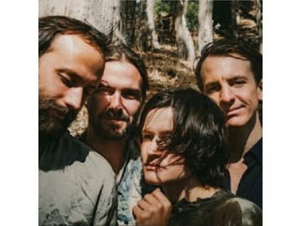 BIG THIEF Two Hands(LP)