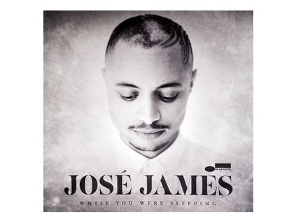 JOSE JAMES While You Were Sleeping (2LP)