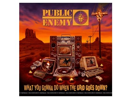 Public Enemy What You Gonna Do When the Grid Goes Down?(LP)
