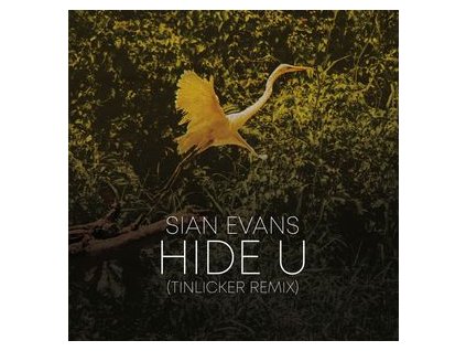 vinyl 12" SIAN EVANS / TINLICKER & HELSLOOT HIDE U (TINLICKER REMIX) / BECAUSE YOU MOVE ME