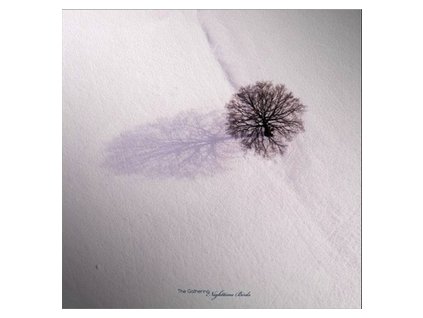 The Gathering Nighttime Birds(LP)