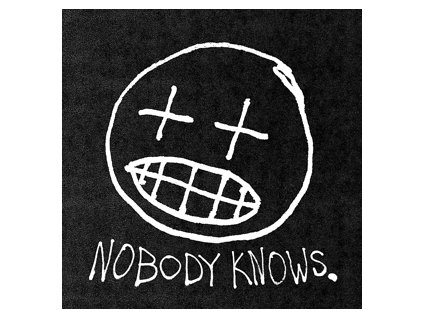 vinyl 2LP Willis Earl Beal - Nobody Knows