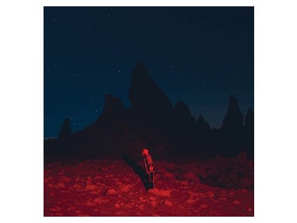 Phoebe Bridgers - Punisher(LP)