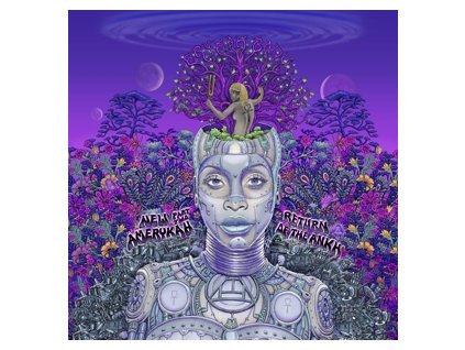 vinyl 2LP Erykah Badu - New Amerykah Part Two