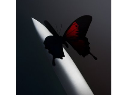 POST MALONE Twelve Carat Toothache (2LP)