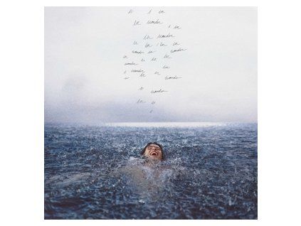 Shawn Mendes Wonder (LP)