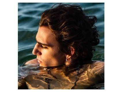 Tamino Amir (2LP)
