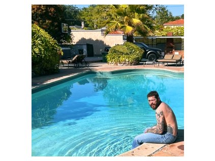 Post Malone Austin(LP)