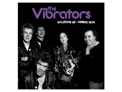 VIBRATORS SPLITTING UP THE DEMOS 1978(LP)