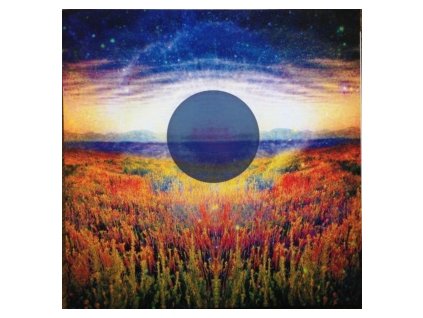 vinyl LP All India Radio Fall Remixes