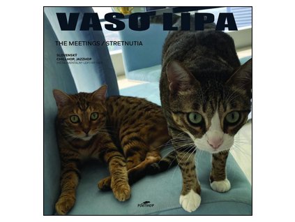 vinyl LP VASO LIPA - The Meetings/Stretnutia