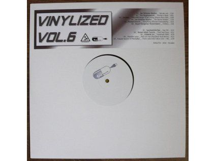 Various - Vinylized Vol.6 (LP)