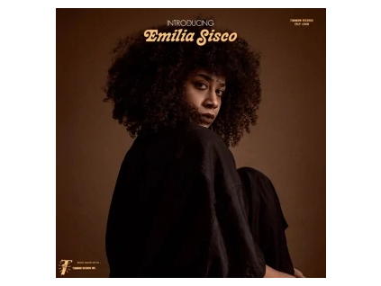 Emilia Sisco & Cold Diamond & Mink - Introducing (LP)