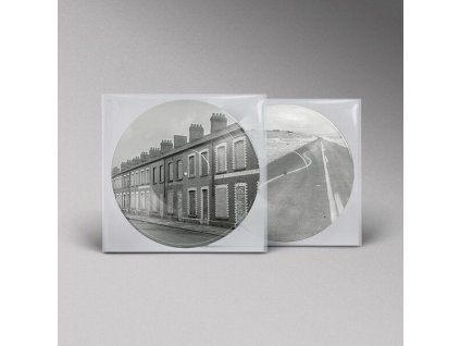 MANIC STREET PREACHERS Critical Thinking (Picture disc) (LP)