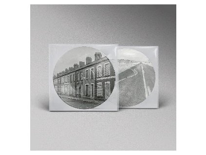 vinyl LP MANIC STREET PREACHERS - CRITICAL THINKING (Picture disc)