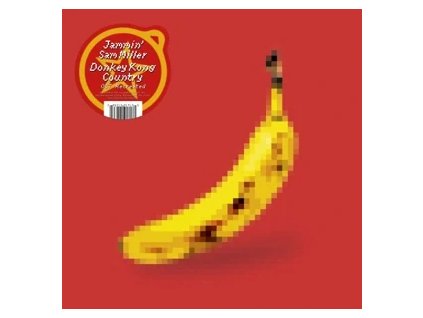 vinyl 2LP Jammin' Sam Miller – Donkey Kong Country OST Recreated