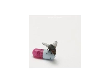 CD Red Hot Chili Peppers – I'm With You