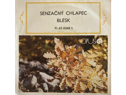 DARINA KEROVÁ - Senzačný chlapec (7"SP)