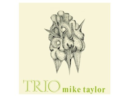 Mike Taylor - Trio (LP)