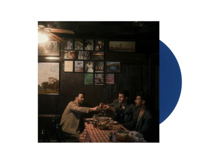 JONAS BROTHERS Greetings From Your Hometown (LP)