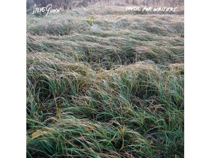 Steve Gunn - Music For Writers (Coloured vinyl)(LP)
