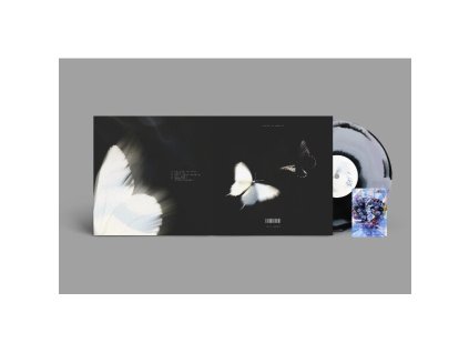 CHASE ATLANTIC Dalliance (Coloured vinyl)(LP)