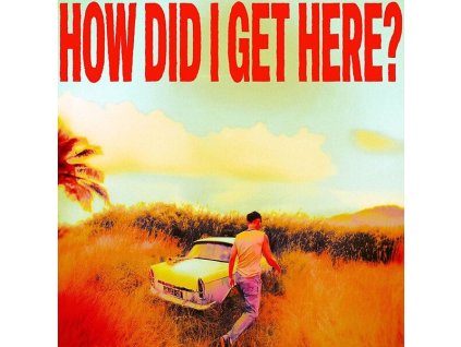 LOUIS TOMLINSON How Did I Get Here? (LP)