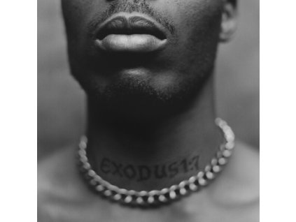 DMX Exodus (LP)
