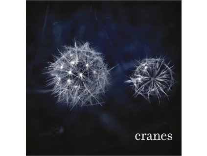 CRANES Cranes