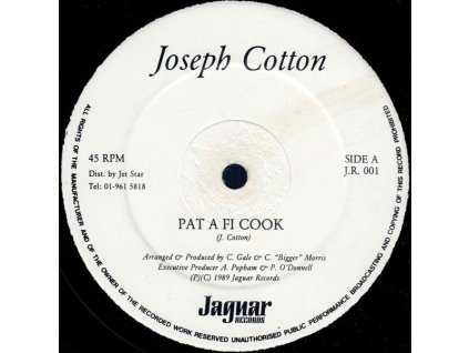 Joseph Cotton/Congress - Pat A Fi Cook/Terror And Crime (LP BAZÁR)
