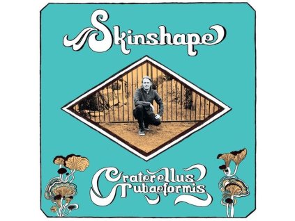 SKINSHAPE Craterellus Tubaeformis (LP)