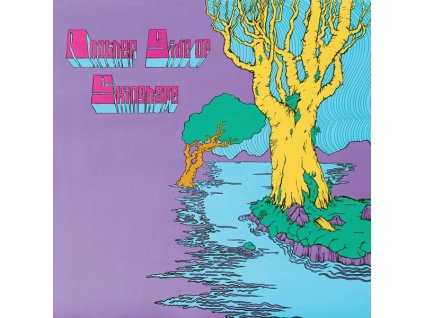 SKINSHAPE Another Side Of Skinshape (LP)