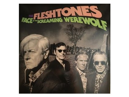THE FLESHTONES Face Of The Screaming Werewolf (RSD 2020) (CD)