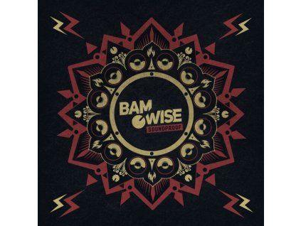 BAMWISE Soundproof (LP)