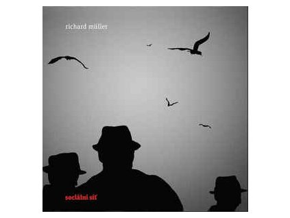 RICHARD MULLER Sociální síť(LP)