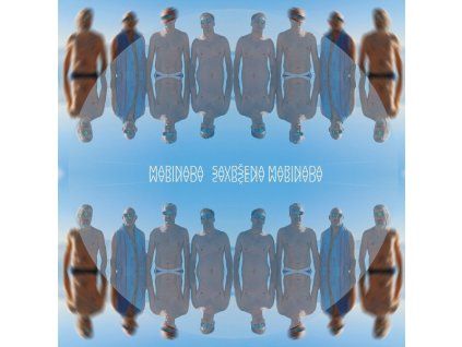 MARINADA Savršena Marinada
