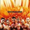 RAMMSTEIN Herzeleid  (2LP)